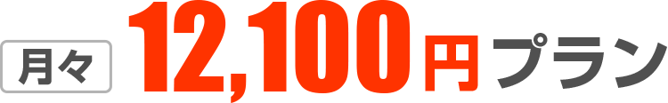 月々11,000円プラン