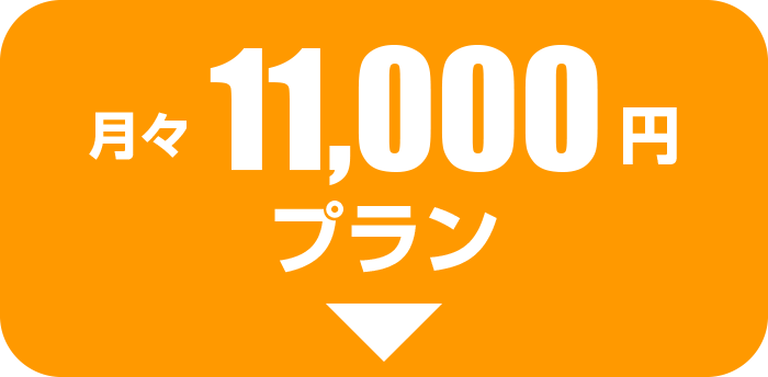 月々10000円プラン