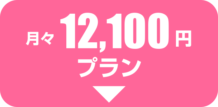 月々11000円プラン
